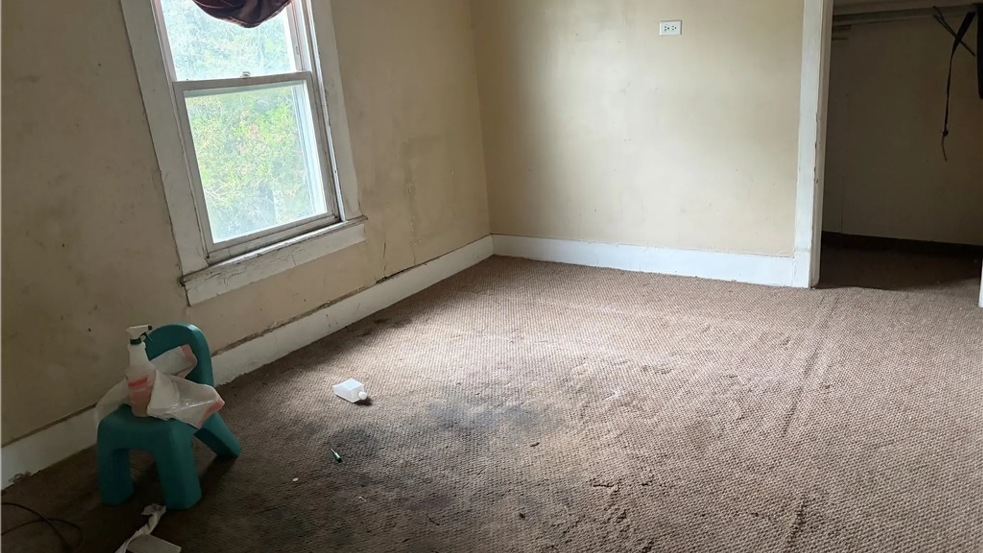 Property at 115 Washington Street, Lockport City, NY 14094 13