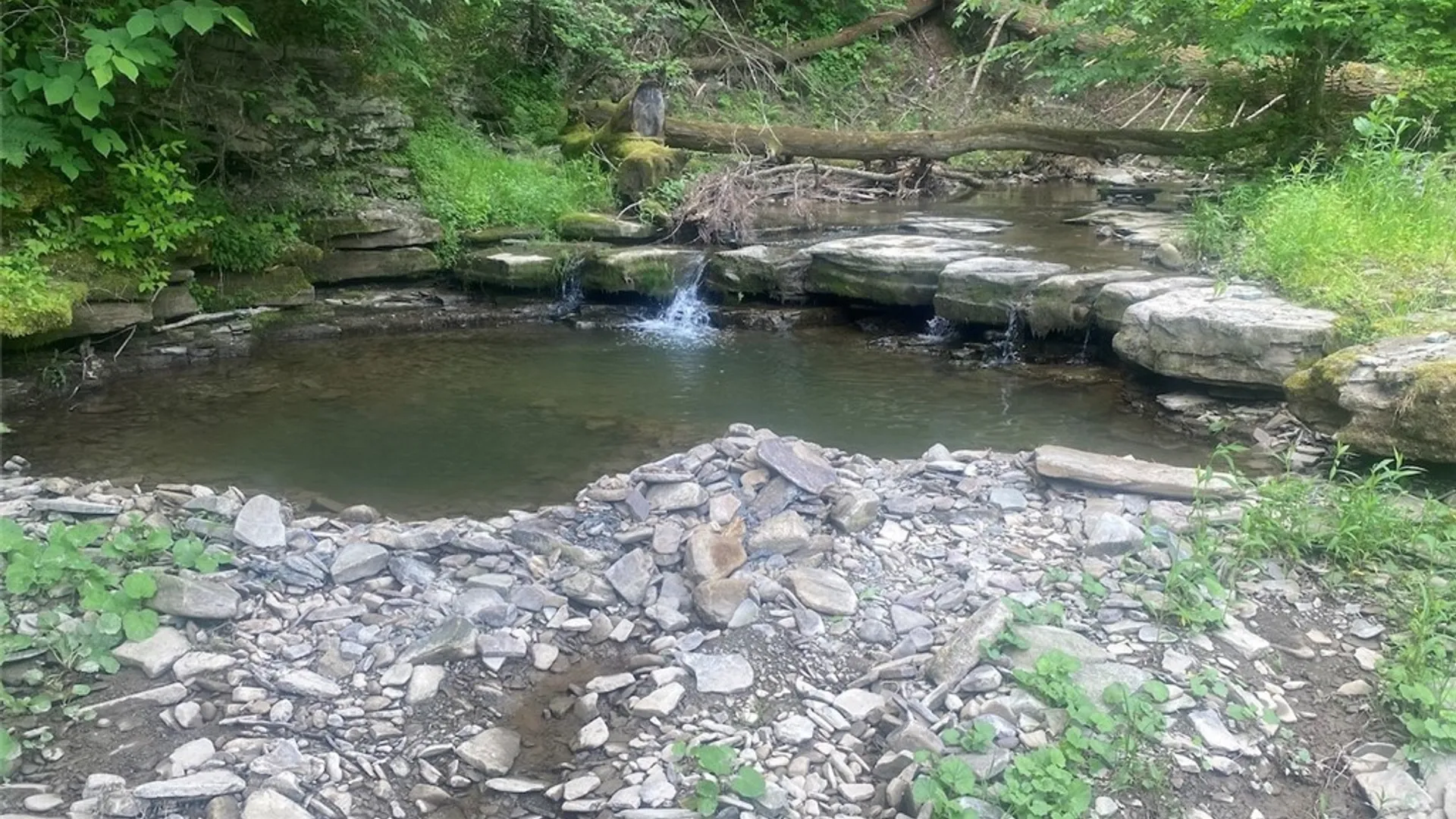 Property at 5295 Snowball Hollow Road, Scio, NY 14880 5