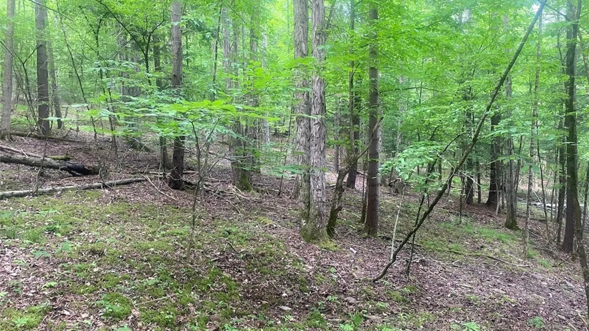 Property at 5295 Snowball Hollow Road, Scio, NY 14880 46