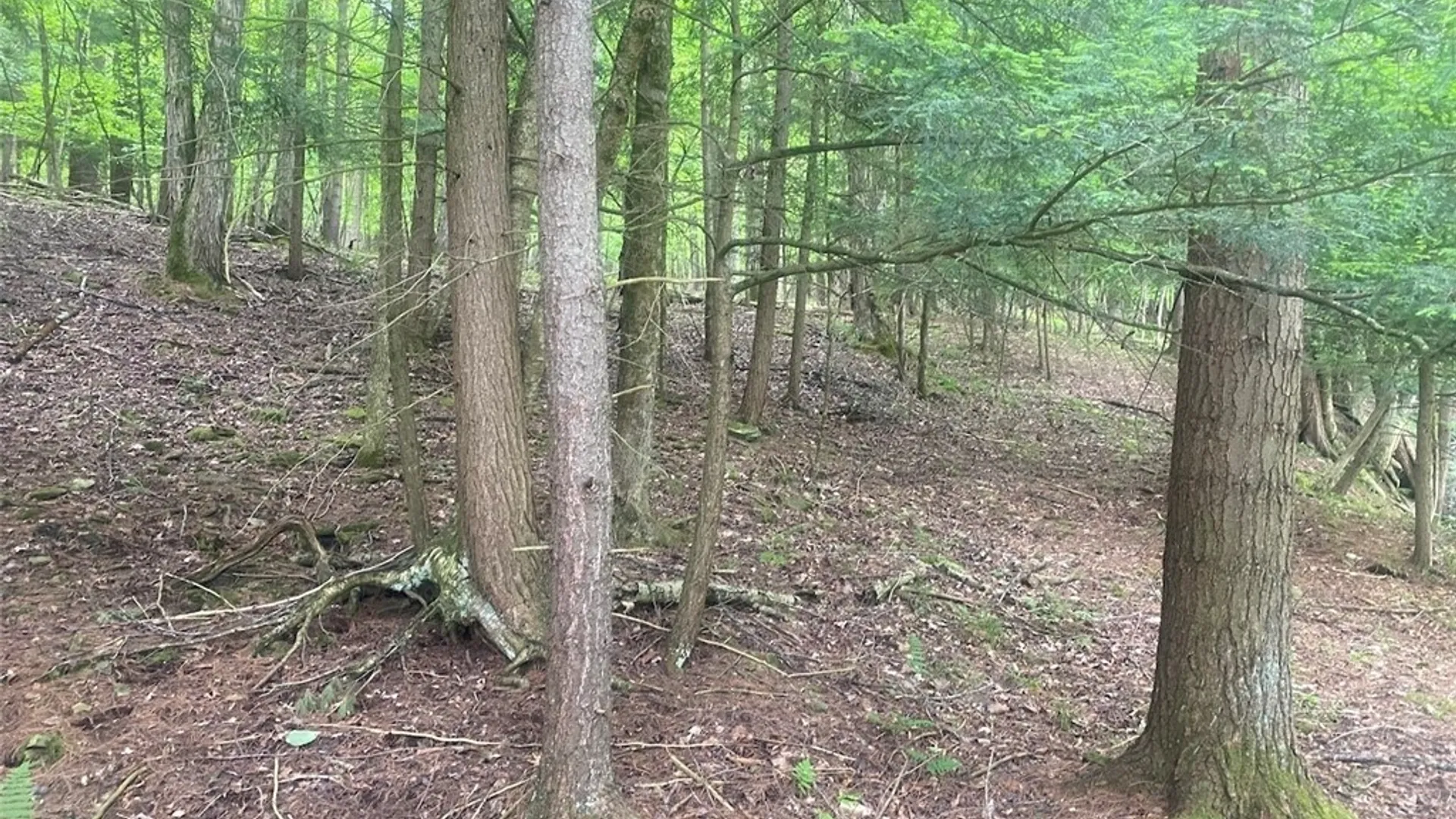 Property at 5295 Snowball Hollow Road, Scio, NY 14880 47