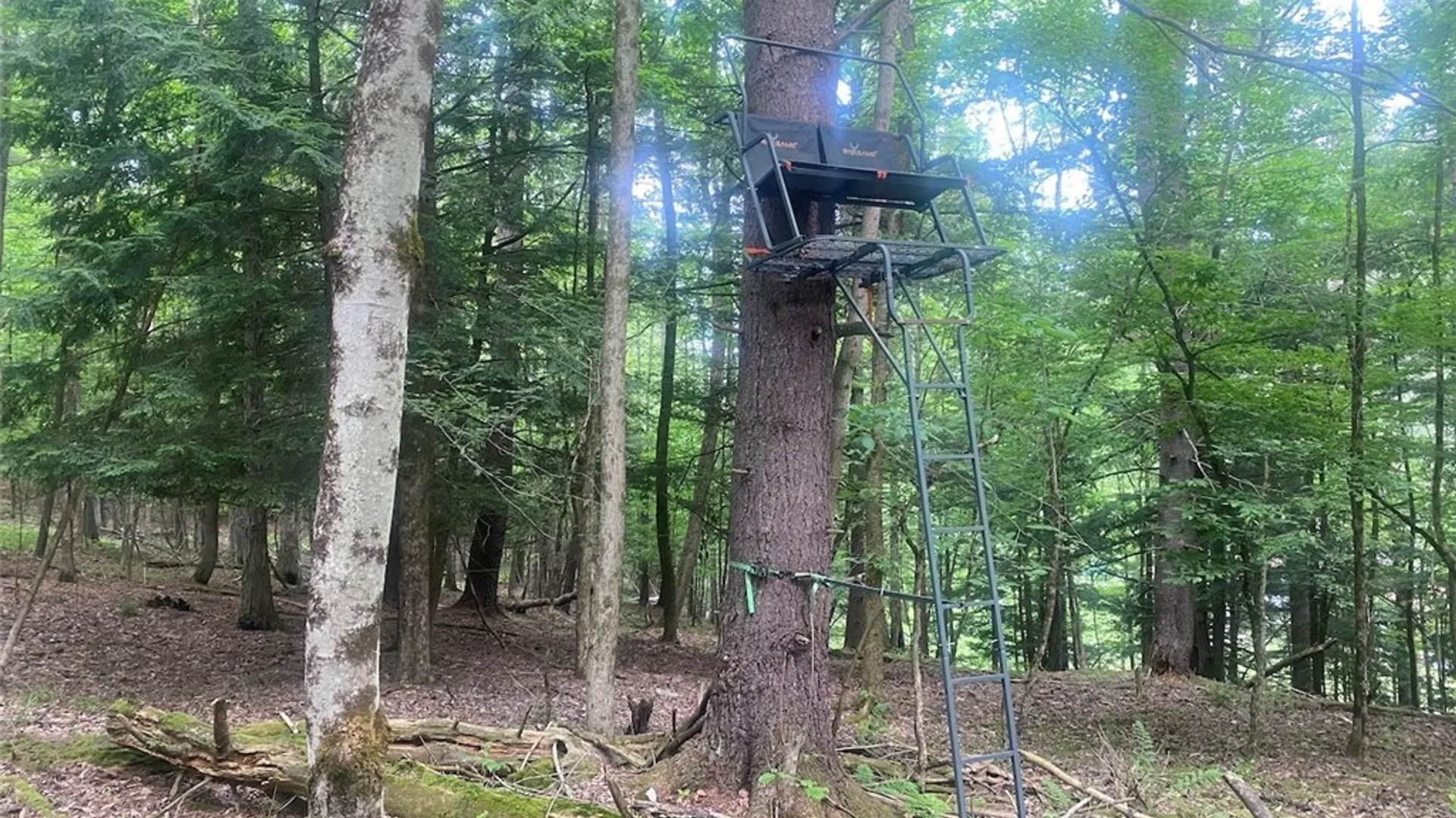 Property at 5295 Snowball Hollow Road, Scio, NY 14880 48