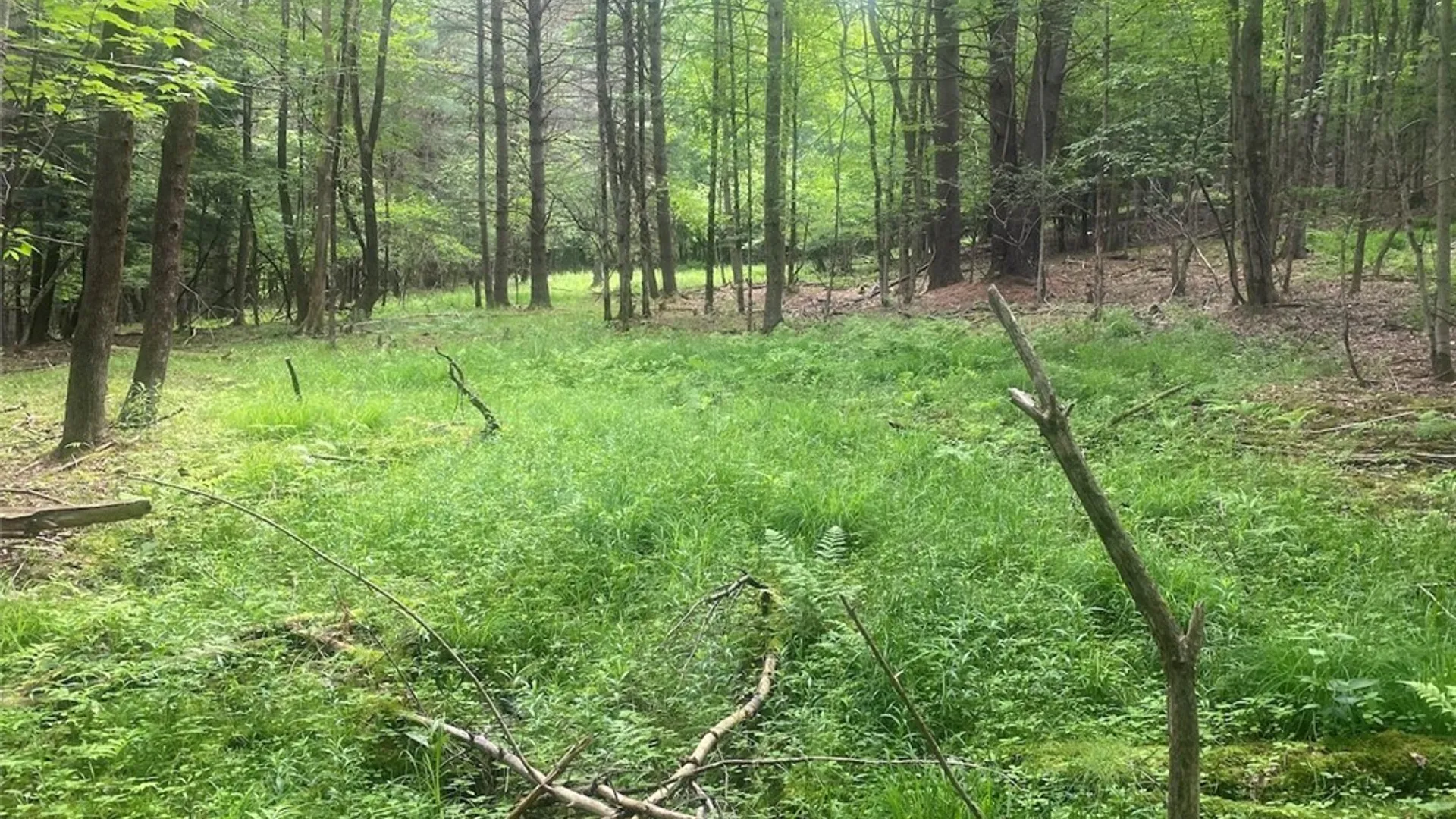 Property at 5295 Snowball Hollow Road, Scio, NY 14880 49