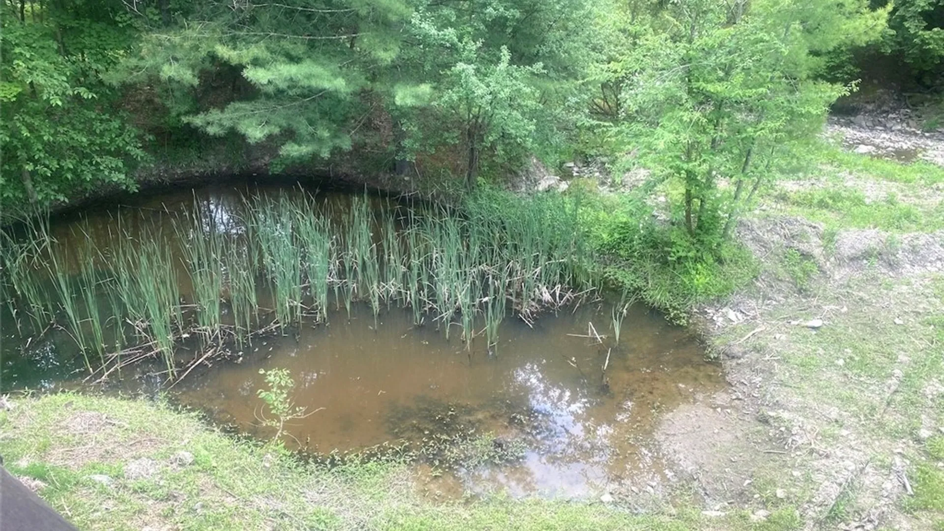 Property at 5295 Snowball Hollow Road, Scio, NY 14880 36