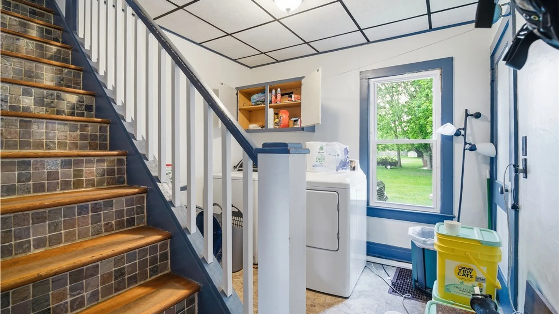 Property at 19 E Burtis Street, Ellicott, NY 14720 12