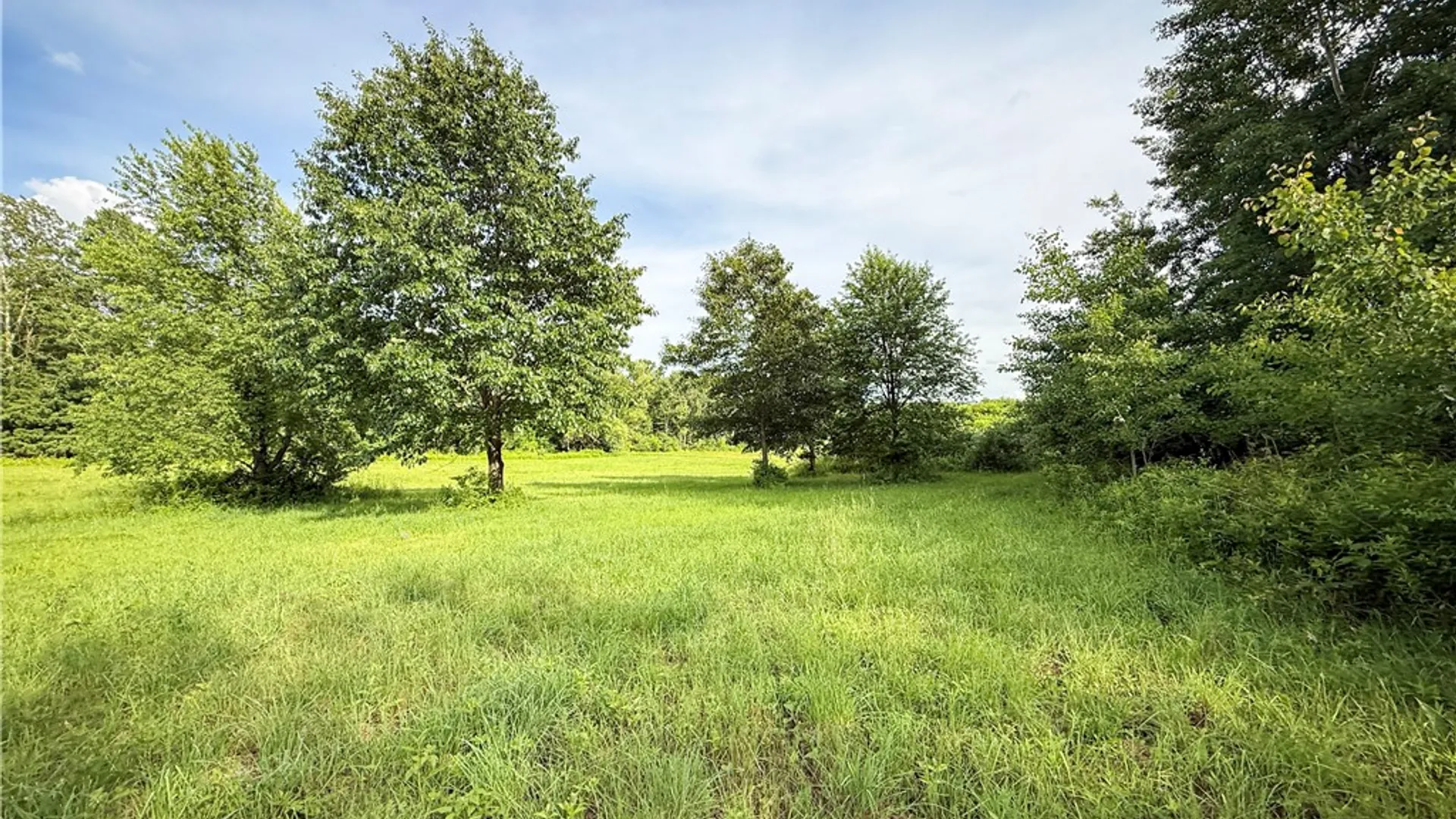 Property at V/L-2 Lake Street, Hector, NY 14841 11