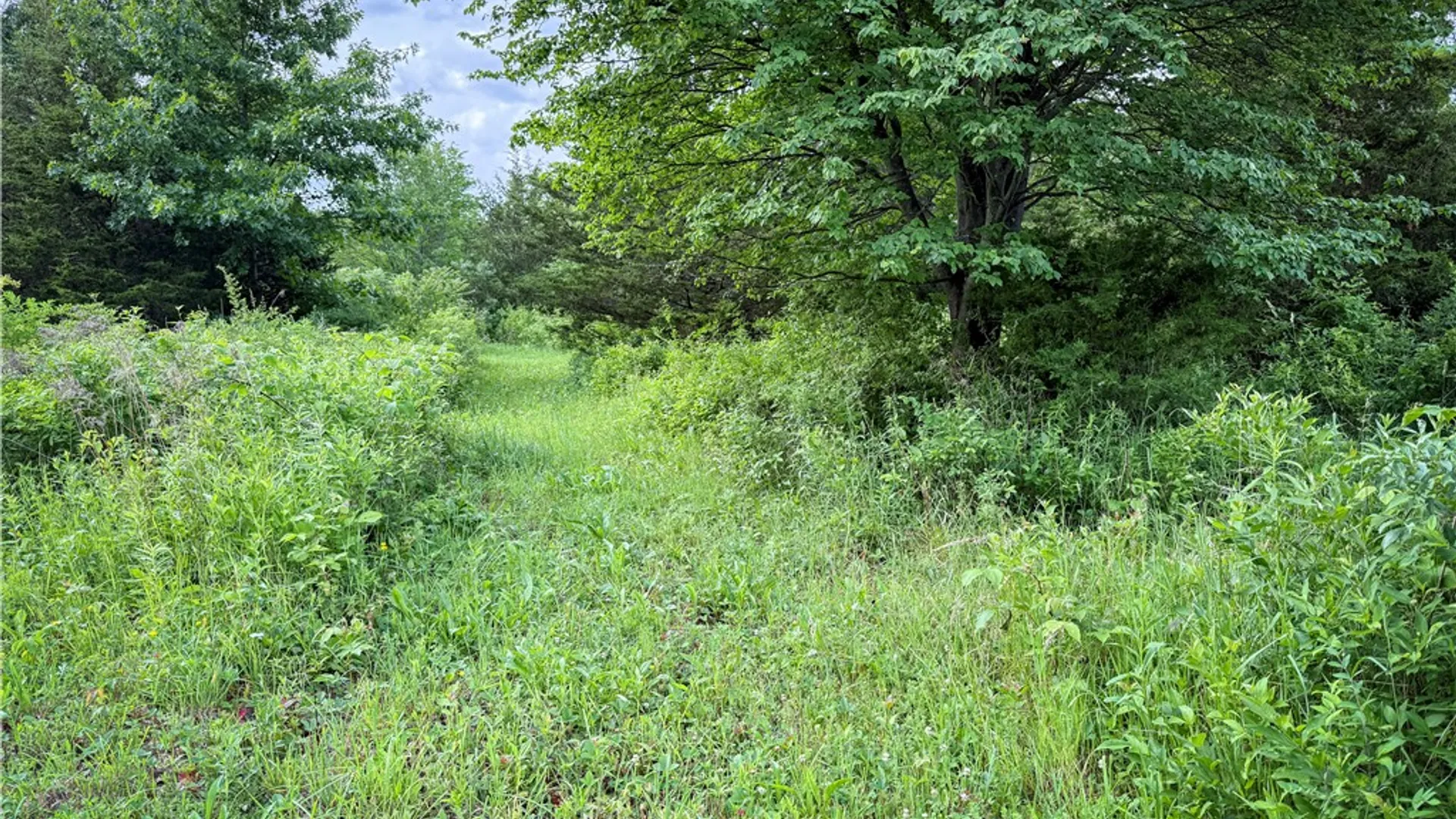 Property at V/L-2 Lake Street, Hector, NY 14841 18