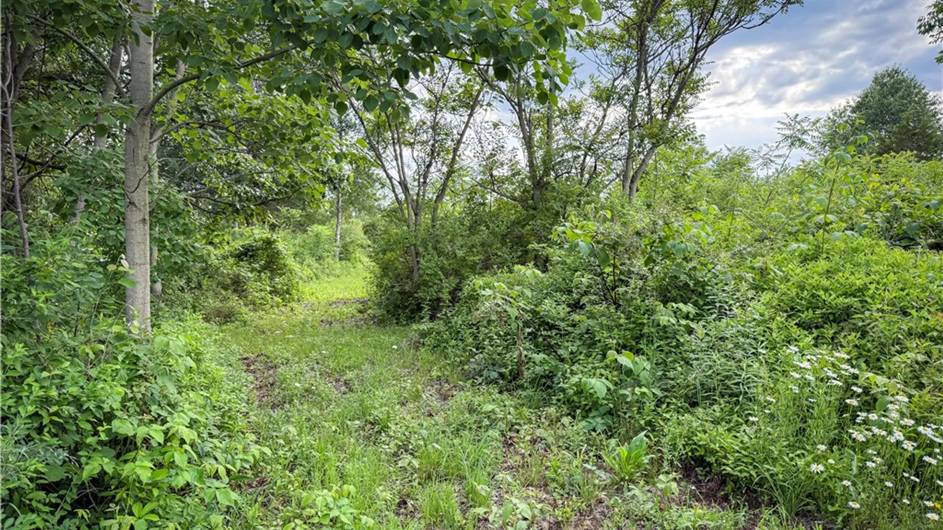 Property at V/L-2 Lake Street, Hector, NY 14841 19