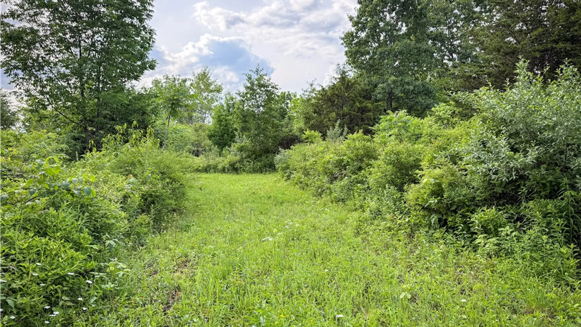 Property at V/L-2 Lake Street, Hector, NY 14841 20