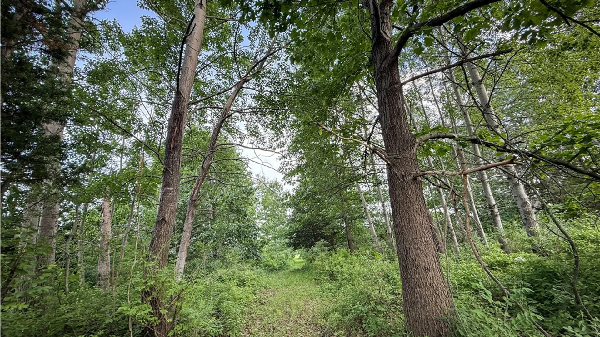 Property at V/L-2 Lake Street, Hector, NY 14841 22
