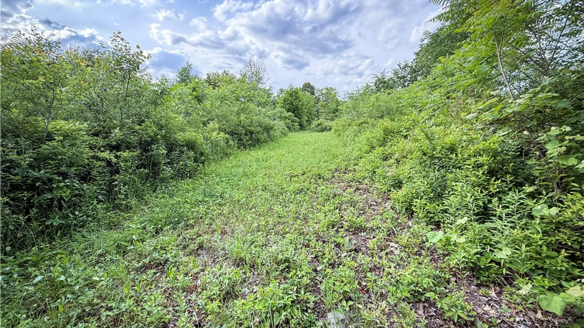 Property at V/L-2 Lake Street, Hector, NY 14841 23