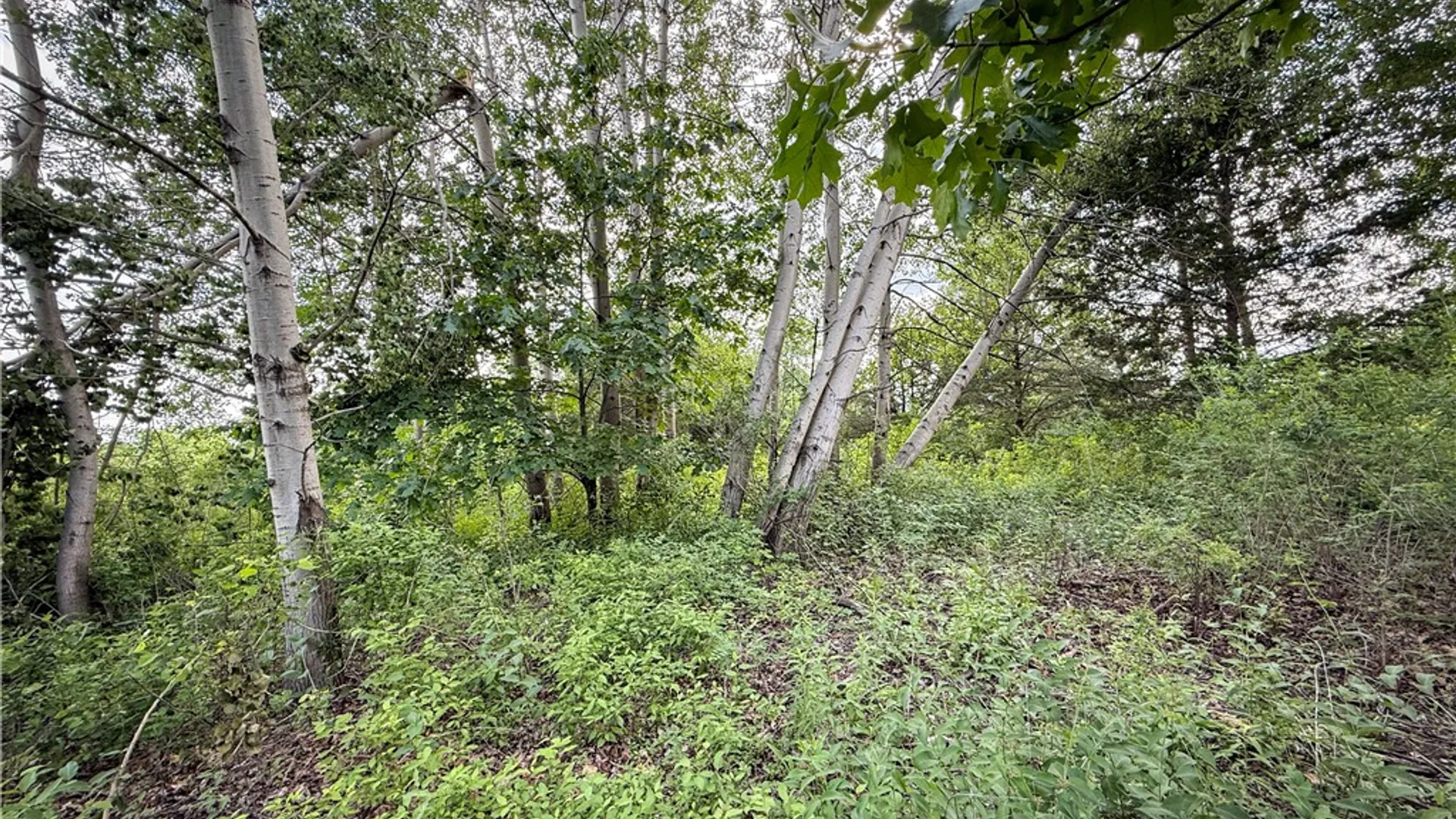 Property at V/L-2 Lake Street, Hector, NY 14841 24