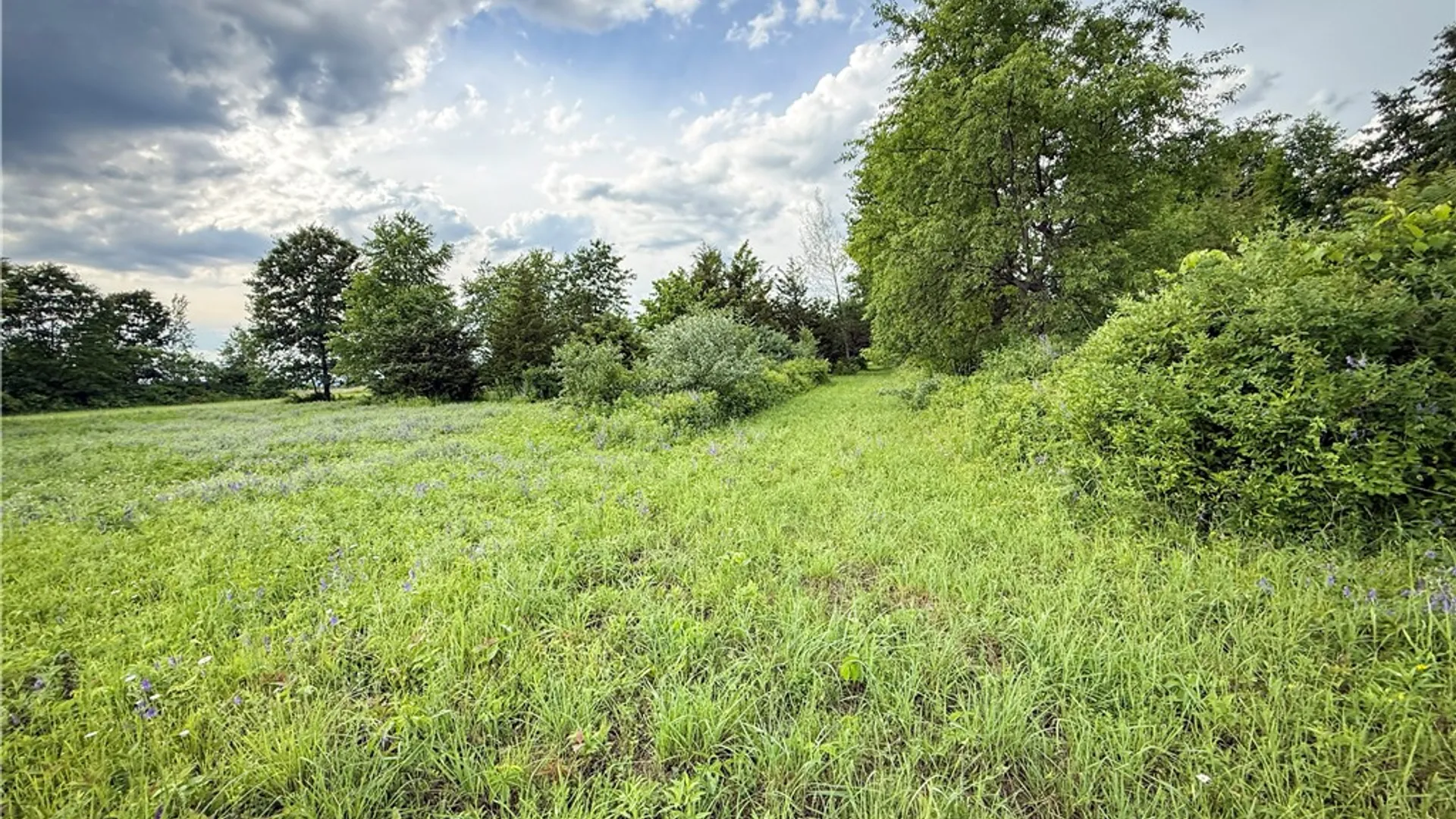 Property at V/L-2 Lake Street, Hector, NY 14841 30