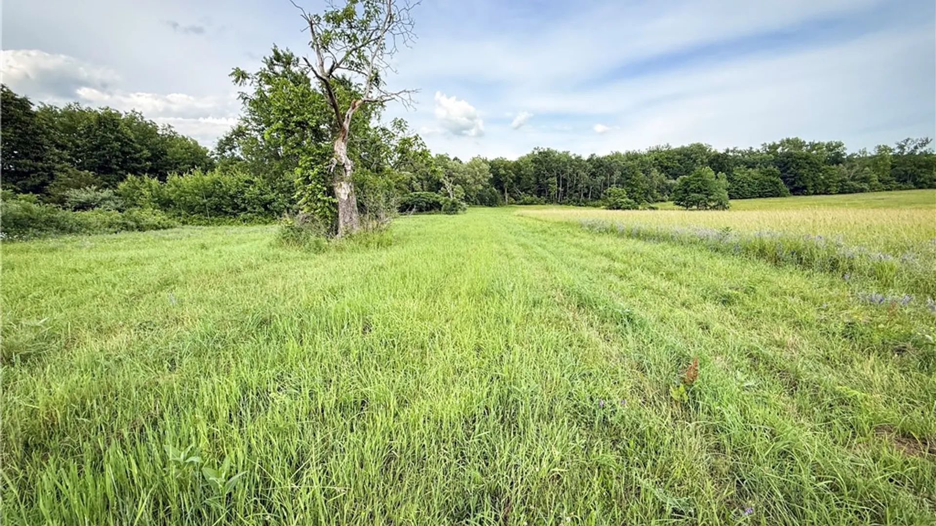 Property at V/L-2 Lake Street, Hector, NY 14841 31