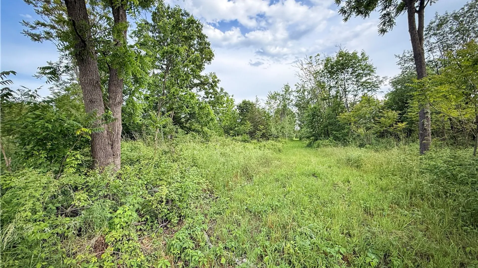 Property at V/L-2 Lake Street, Hector, NY 14841 44