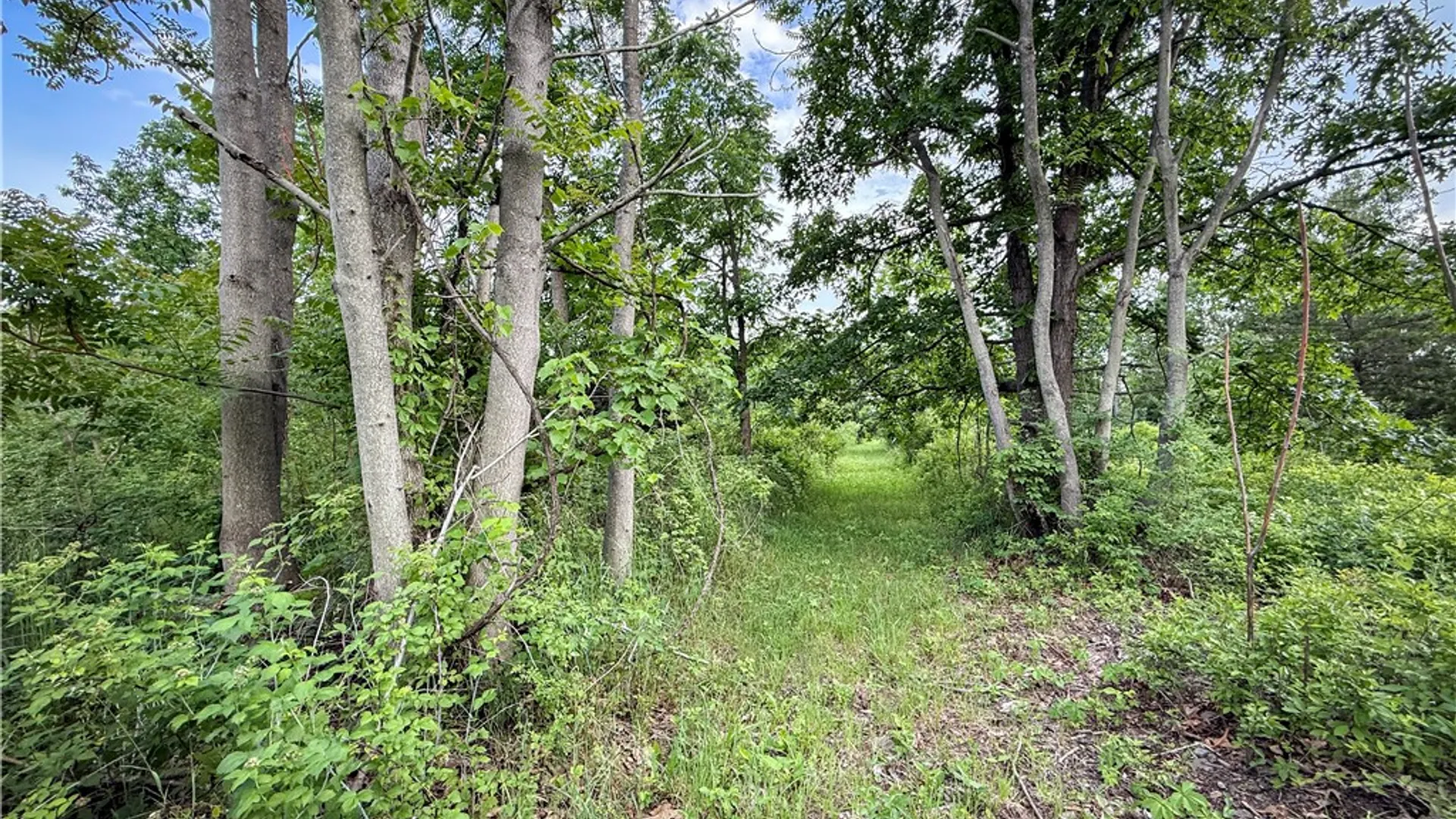 Property at V/L-1 Lake Street, Hector, NY 14841 11