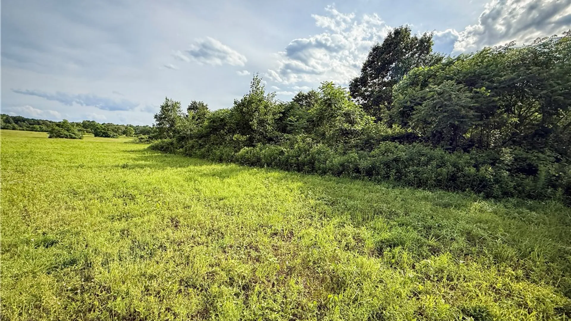Property at V/L-1 Lake Street, Hector, NY 14841 26