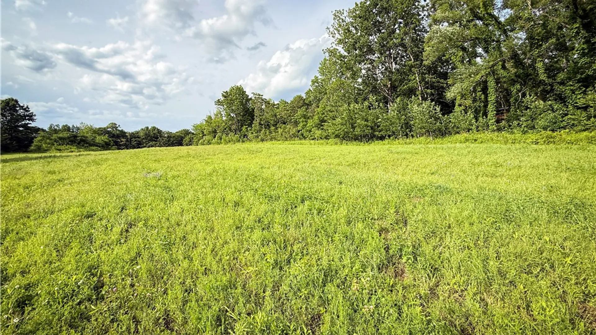 Property at V/L-1 Lake Street, Hector, NY 14841 30