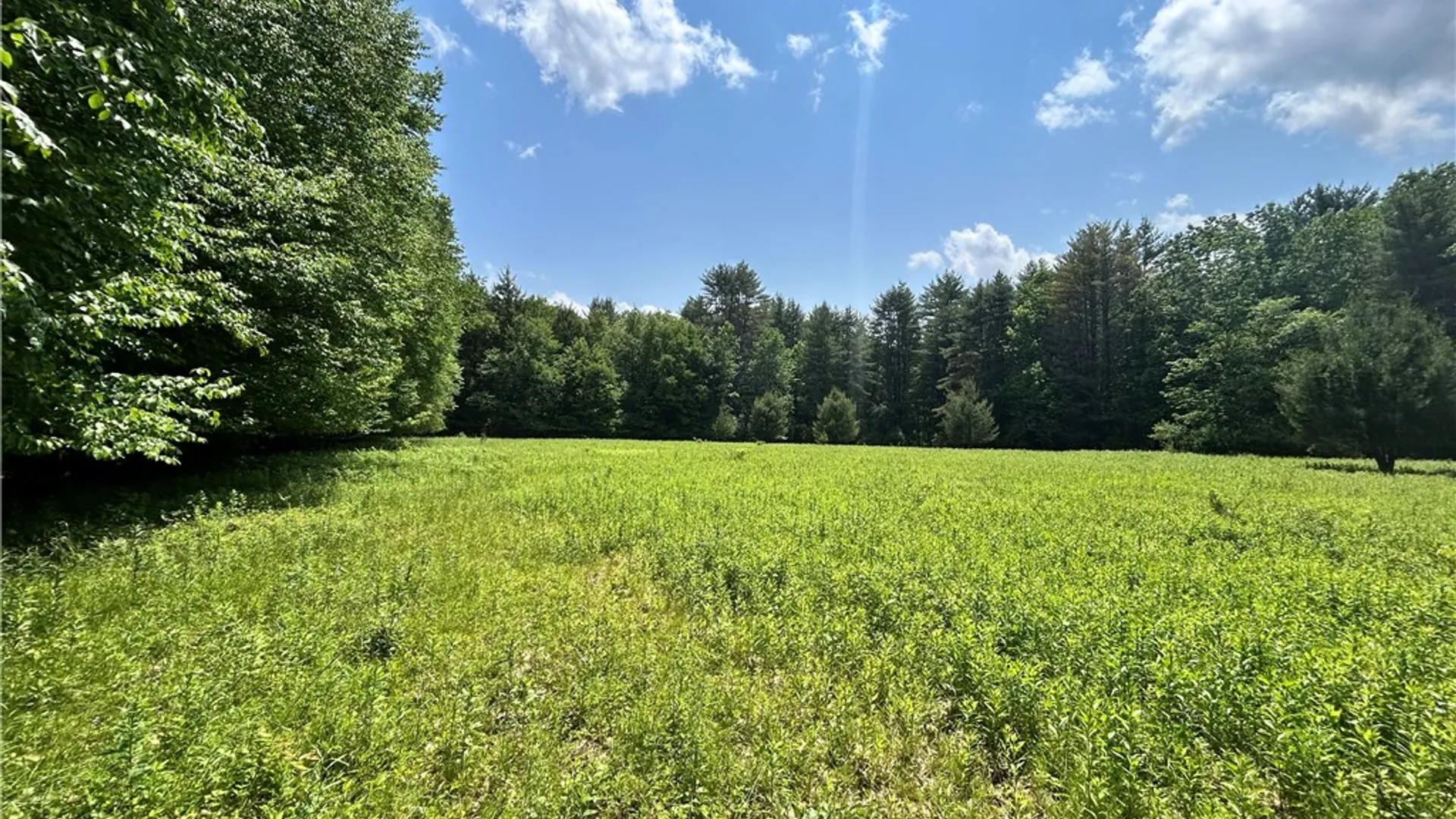 Property at Lot 2 Oregon Road, Butternuts, NY 13776 3