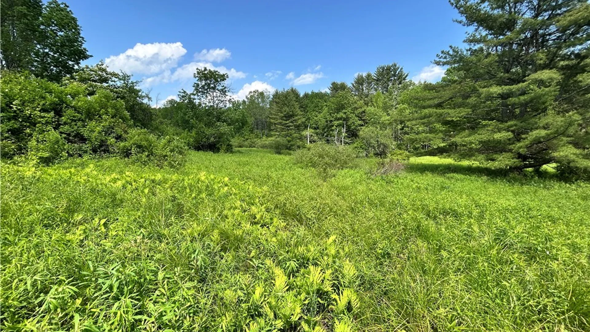 Property at Lot 2 Oregon Road, Butternuts, NY 13776 5