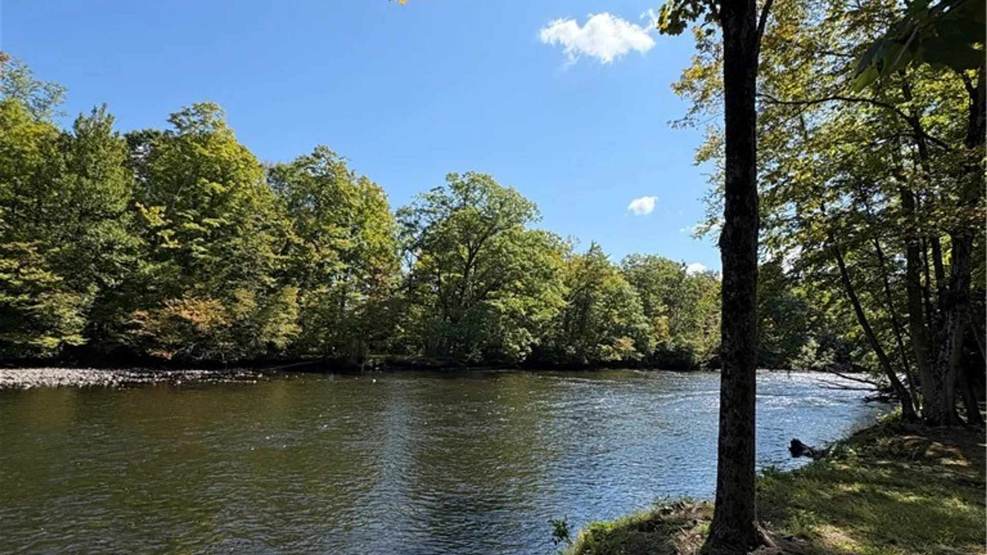 Property at 136 Fire Lane 7, Cato, NY 13080 15