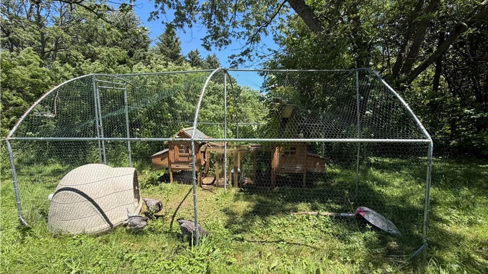 Property at 9813 Gowanda State Road, Eden, NY 14057 22