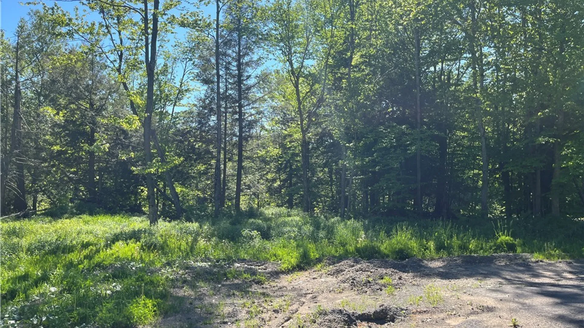 Property at 0 Co Rt 17, Redfield, NY 13437 3