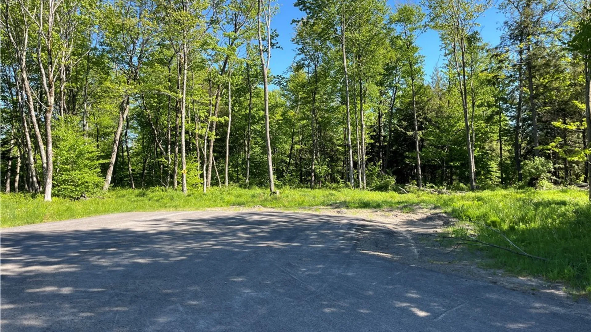 Property at 0 Co Rt 17, Redfield, NY 13437 4