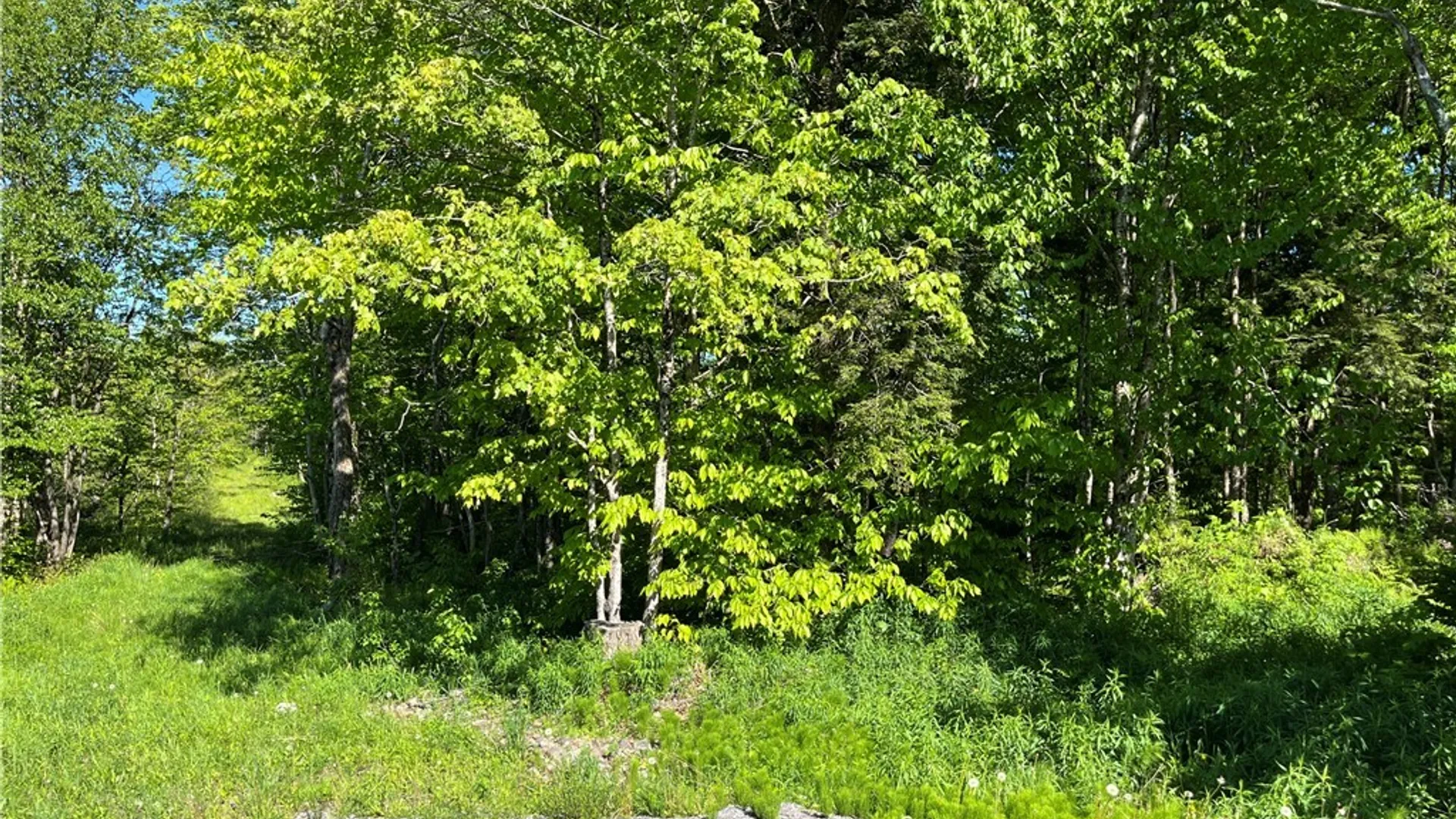 Property at 0 Co Rt 17, Redfield, NY 13437 6