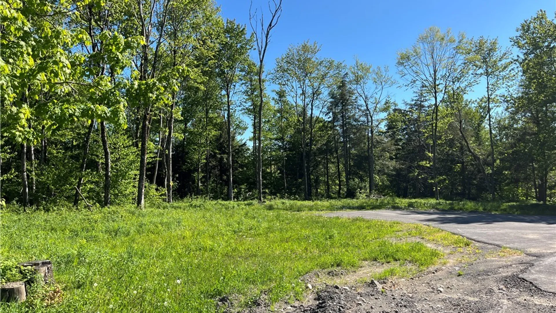 Property at 0 Co Rt 17, Redfield, NY 13437 7