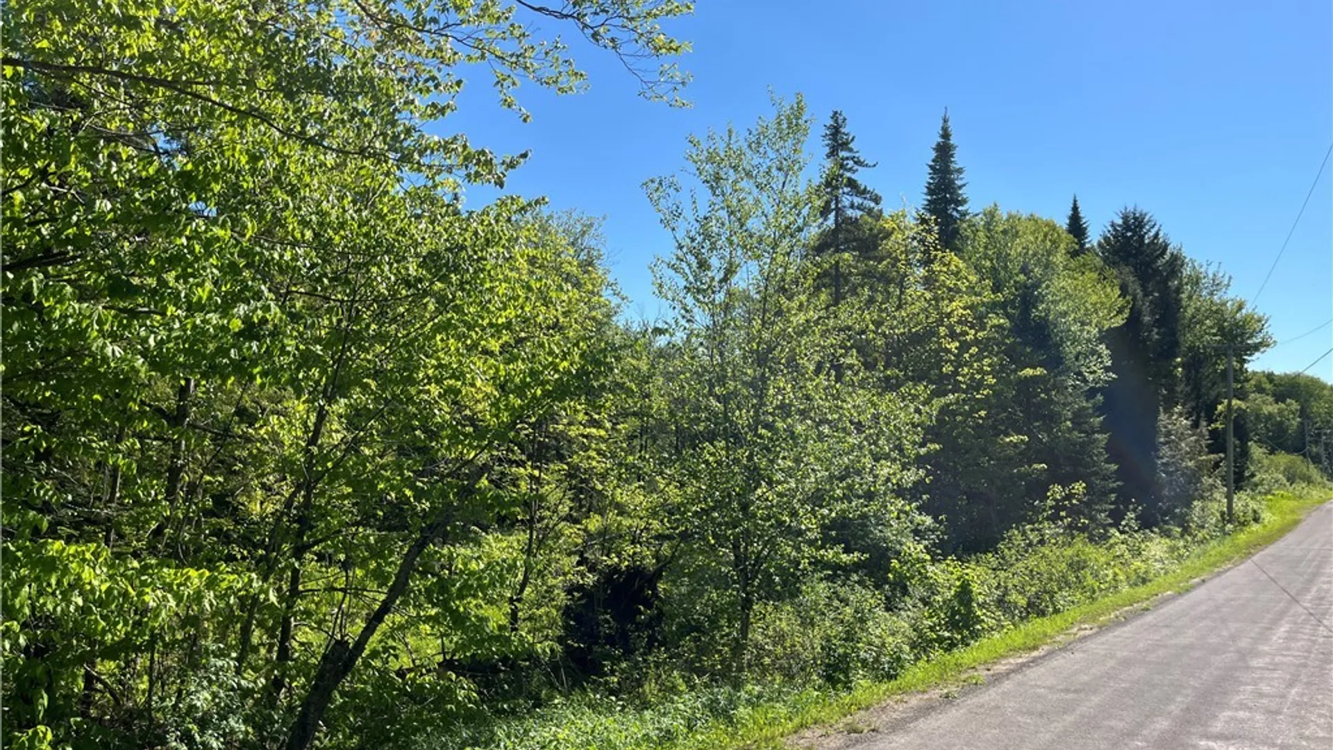 Property at 0 Co Rt 17, Redfield, NY 13437 9