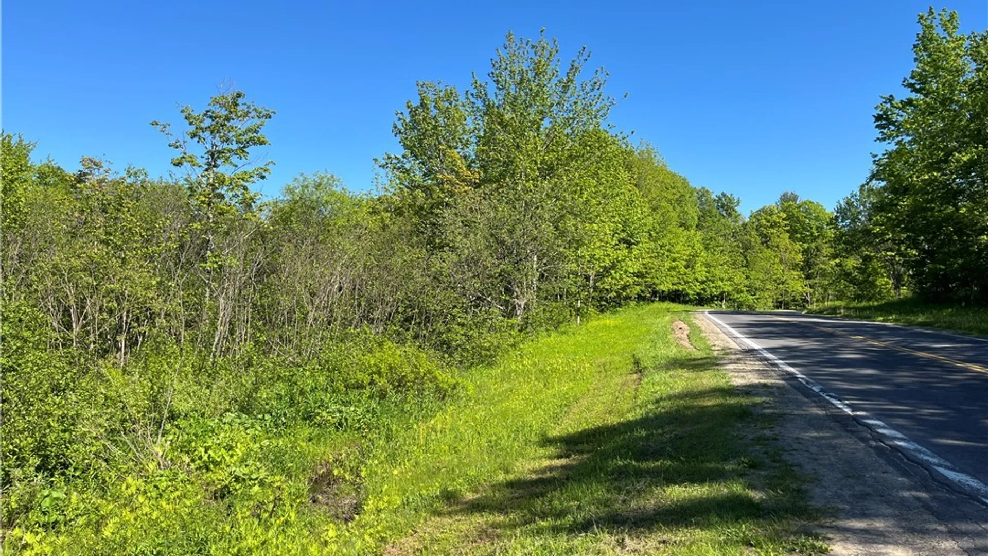 Property at 0 Co Rt 17, Redfield, NY 13437 11