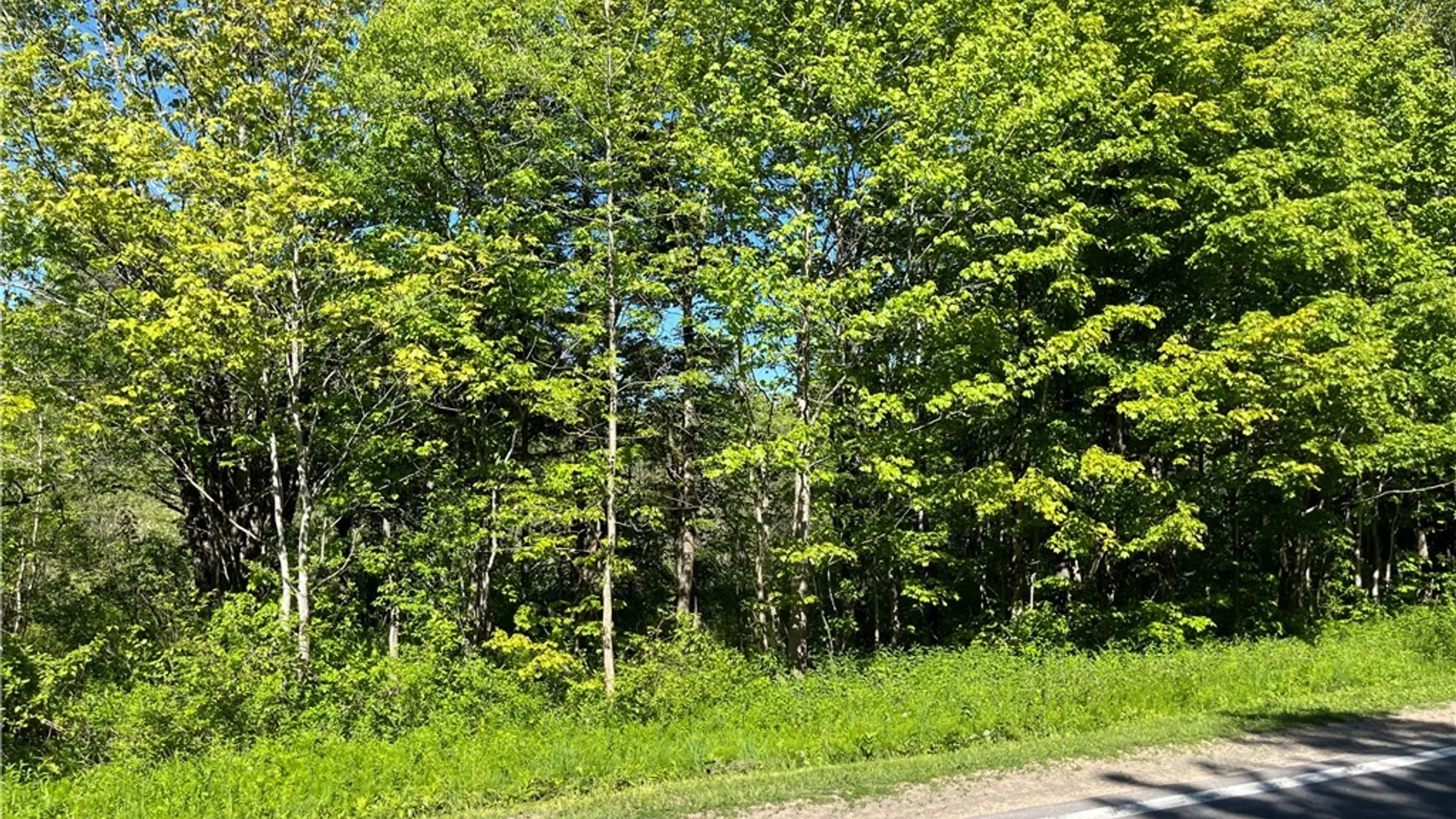Property at 0 Co Rt 17, Redfield, NY 13437 13