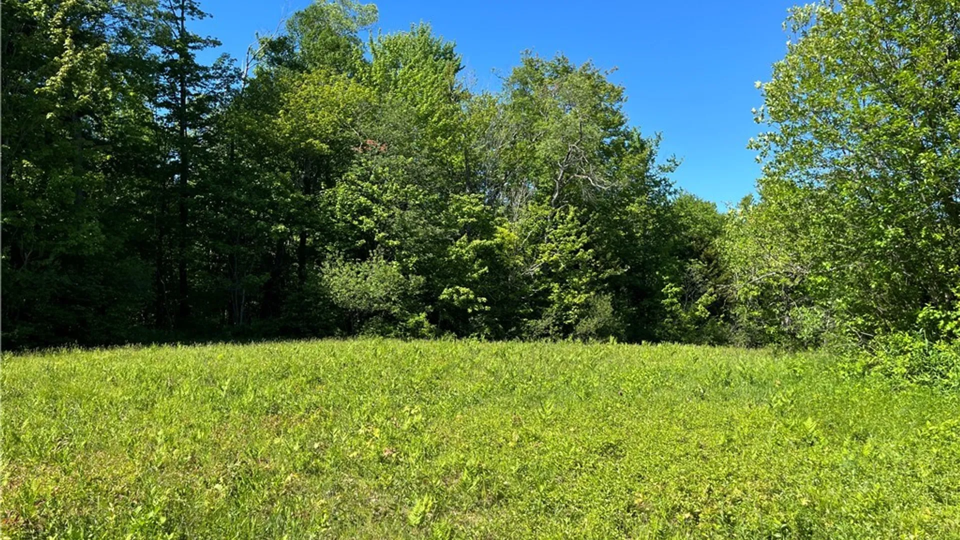 Property at 33 Barber Road, Redfield, NY 13437 7