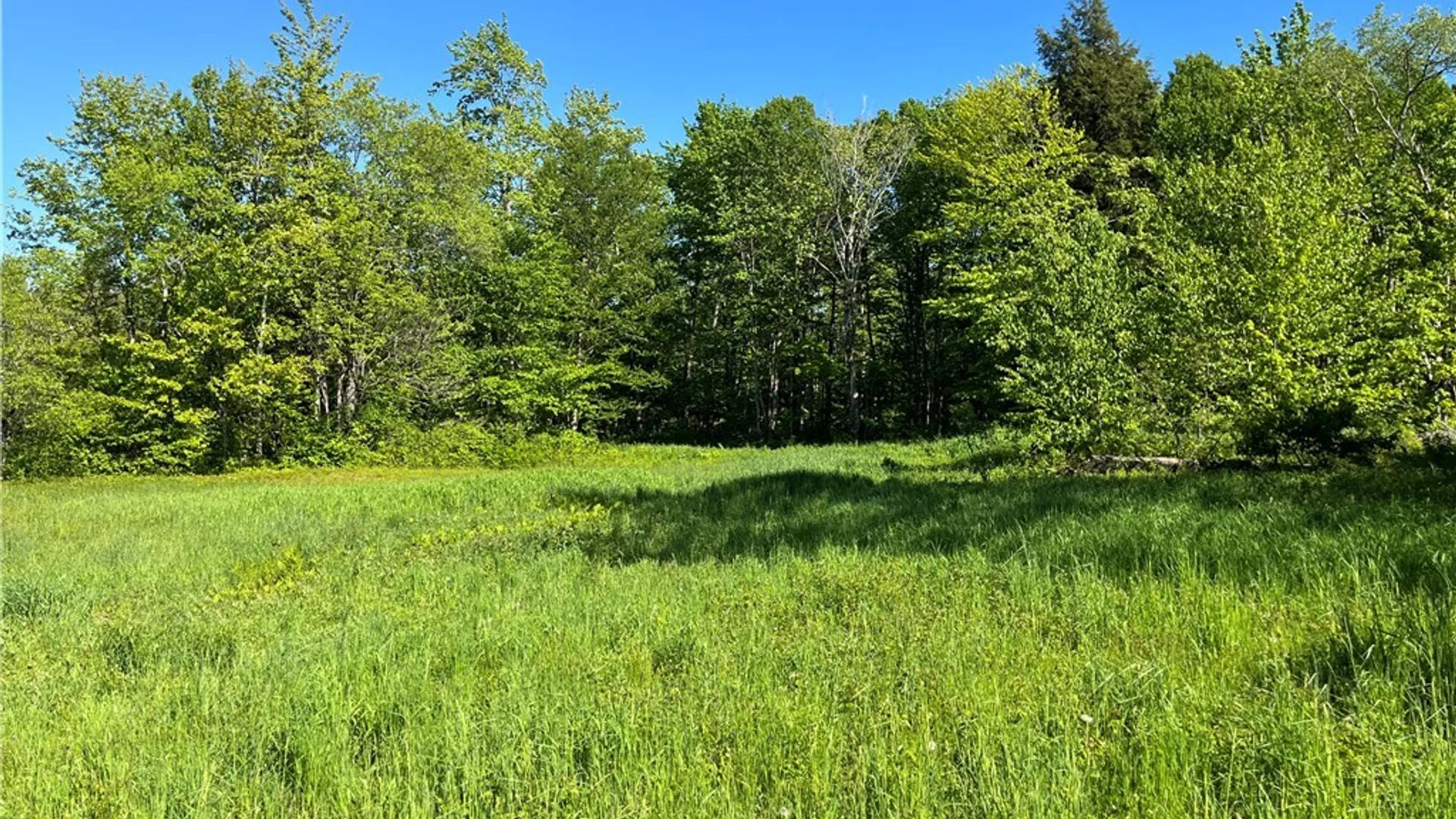 Property at 33 Barber Road, Redfield, NY 13437 9