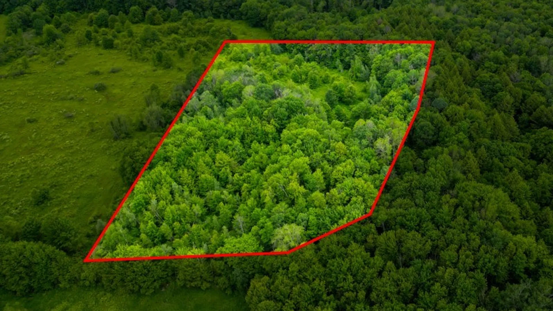 Property at 8031 Benson Road, Floyd, NY 13354 4