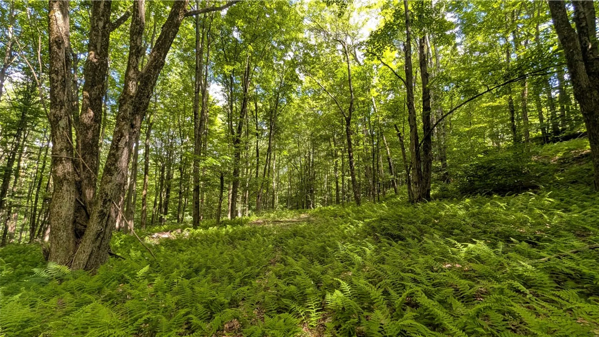 Property at 201 Sunrise Mountain Road, Kortright, NY 13739 33