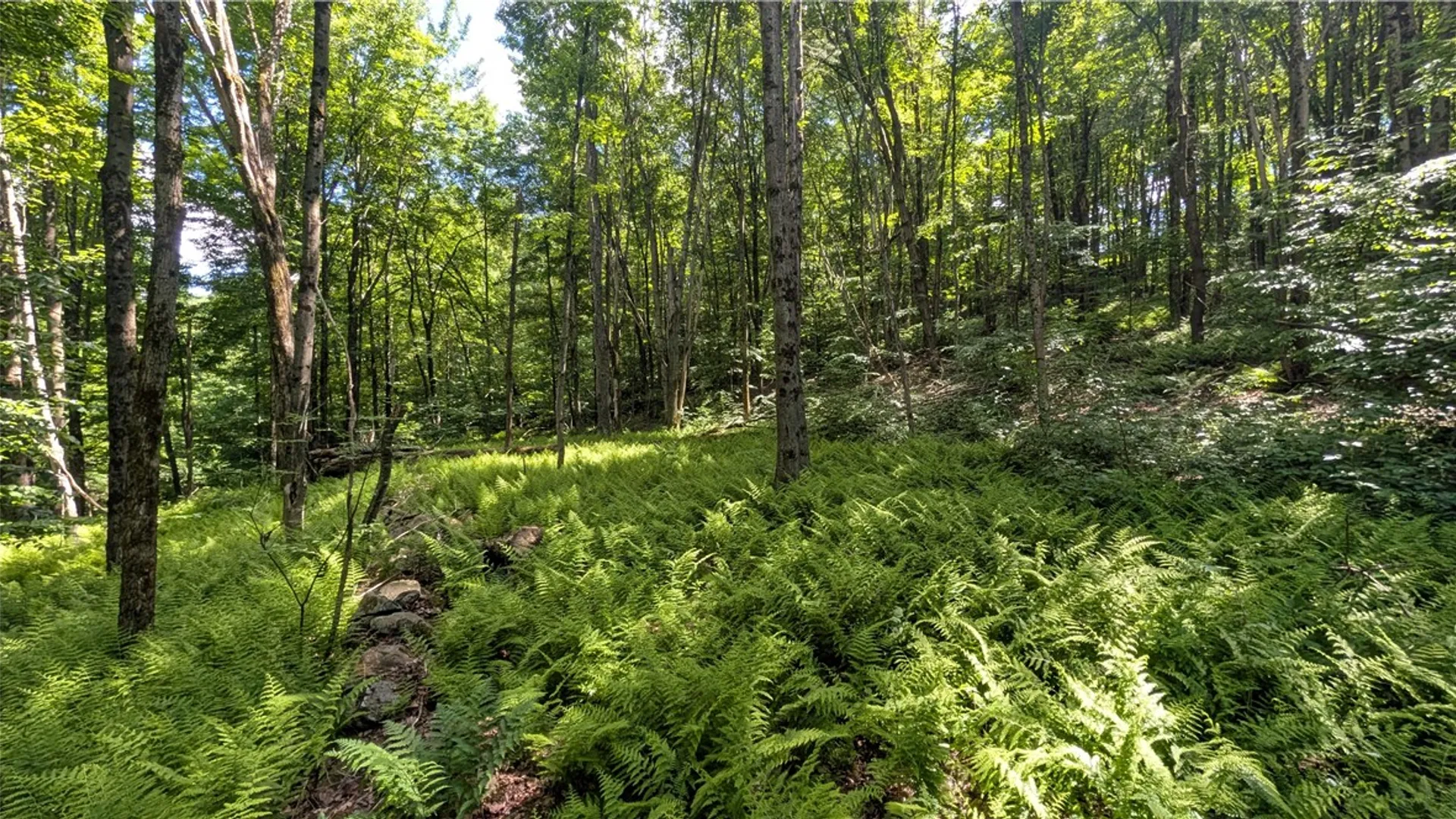 Property at 201 Sunrise Mountain Road, Kortright, NY 13739 34