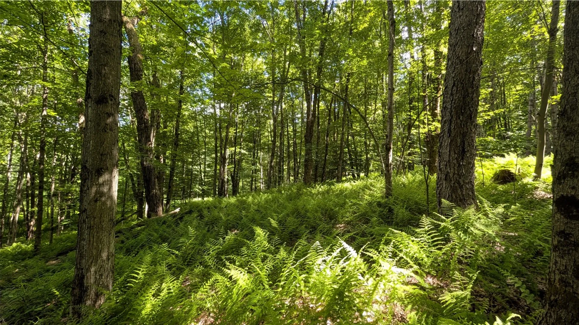 Property at 201 Sunrise Mountain Road, Kortright, NY 13739 35