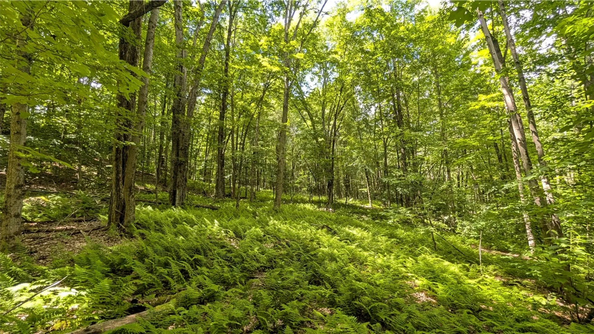 Property at 201 Sunrise Mountain Road, Kortright, NY 13739 36