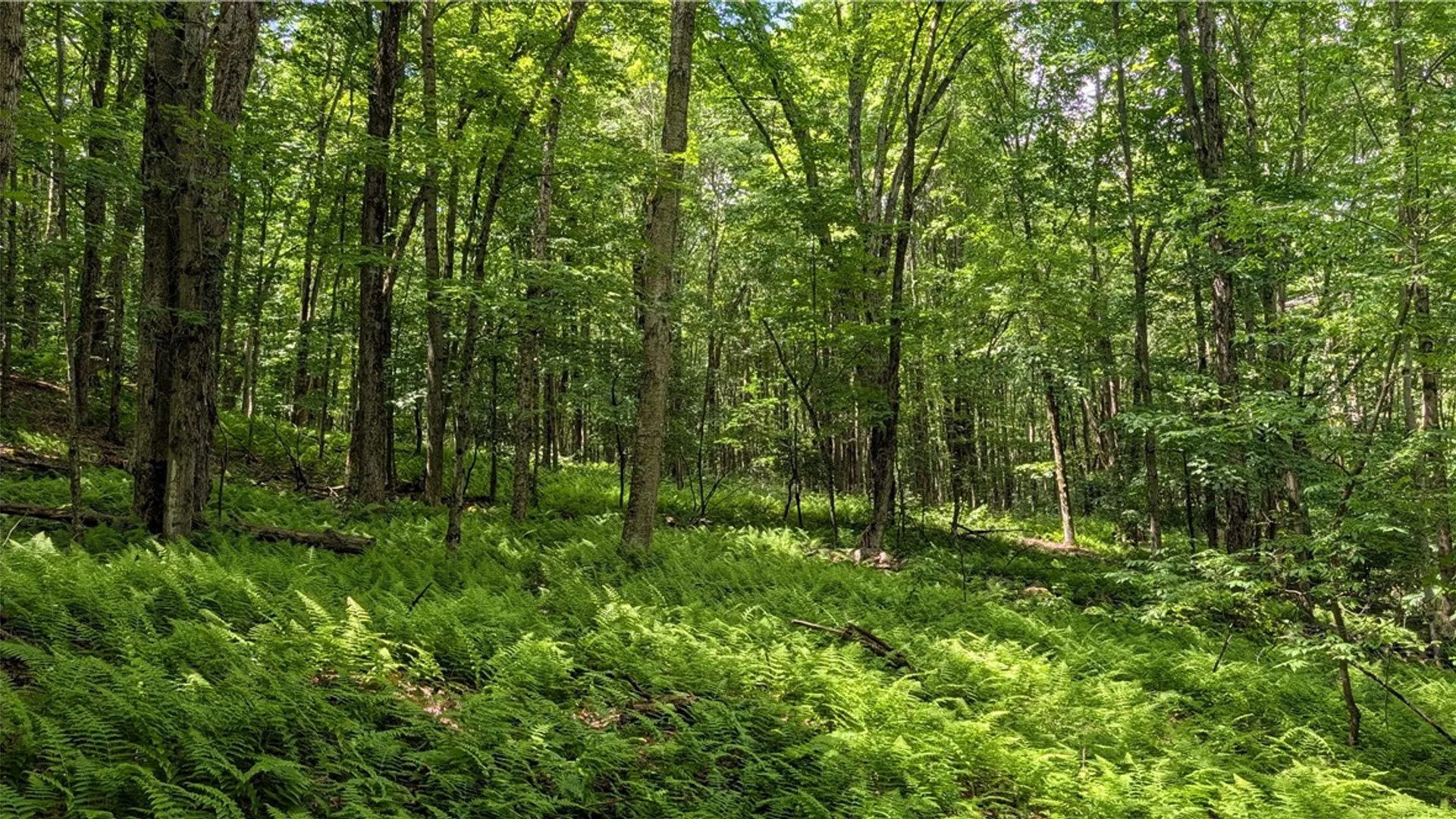 Property at 201 Sunrise Mountain Road, Kortright, NY 13739 37