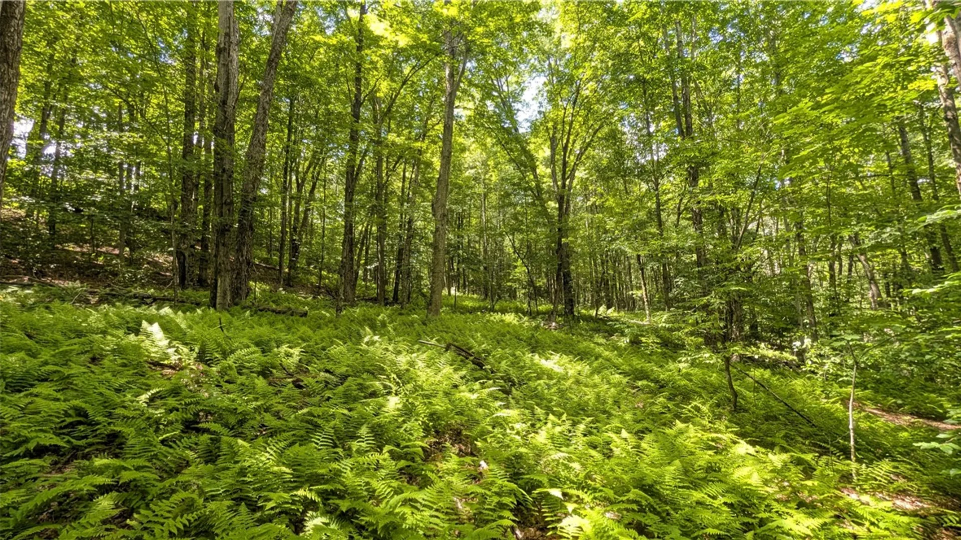 Property at 201 Sunrise Mountain Road, Kortright, NY 13739 38
