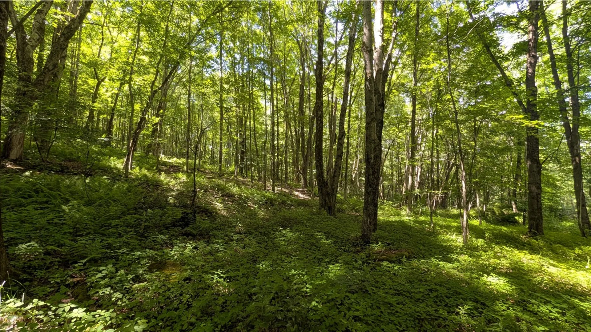 Property at 201 Sunrise Mountain Road, Kortright, NY 13739 40