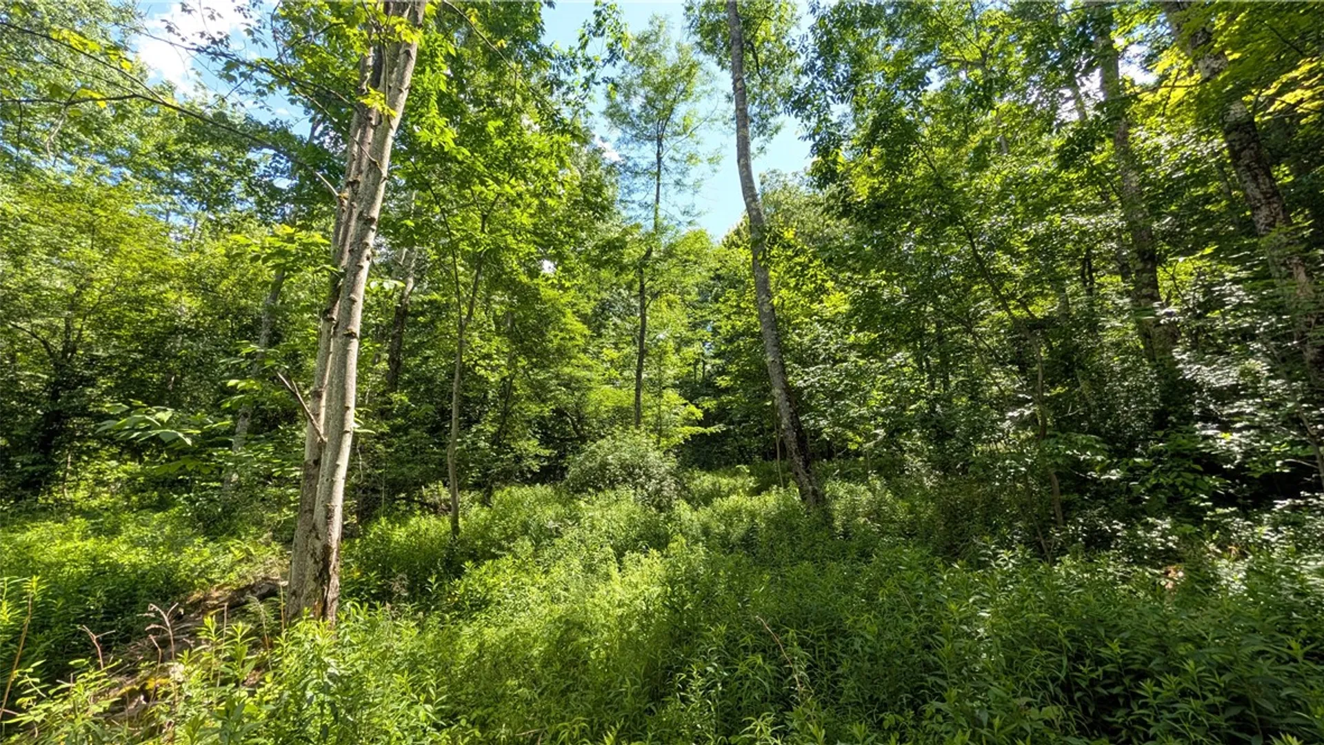 Property at 201 Sunrise Mountain Road, Kortright, NY 13739 41