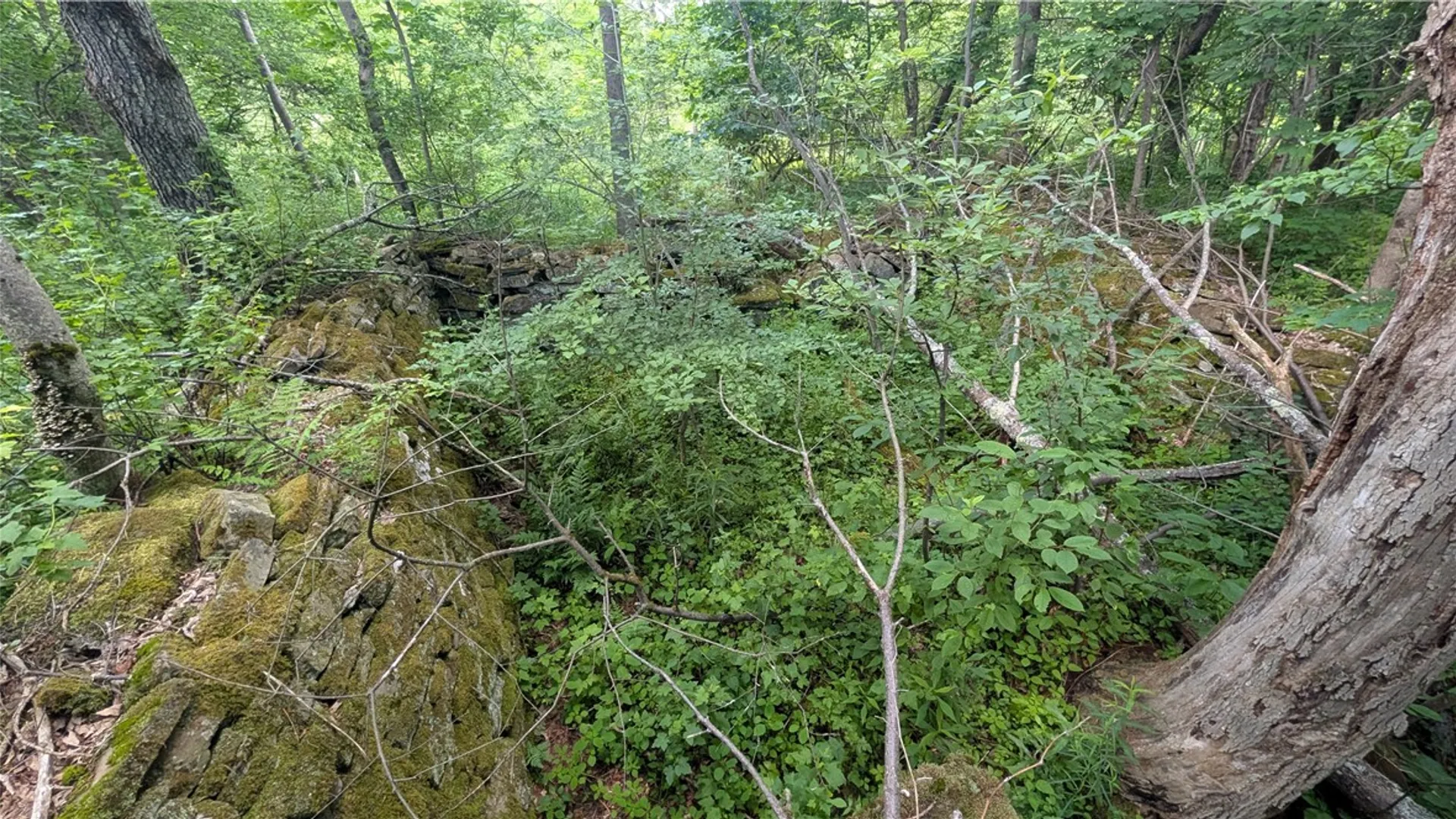 Property at 201 Sunrise Mountain Road, Kortright, NY 13739 42