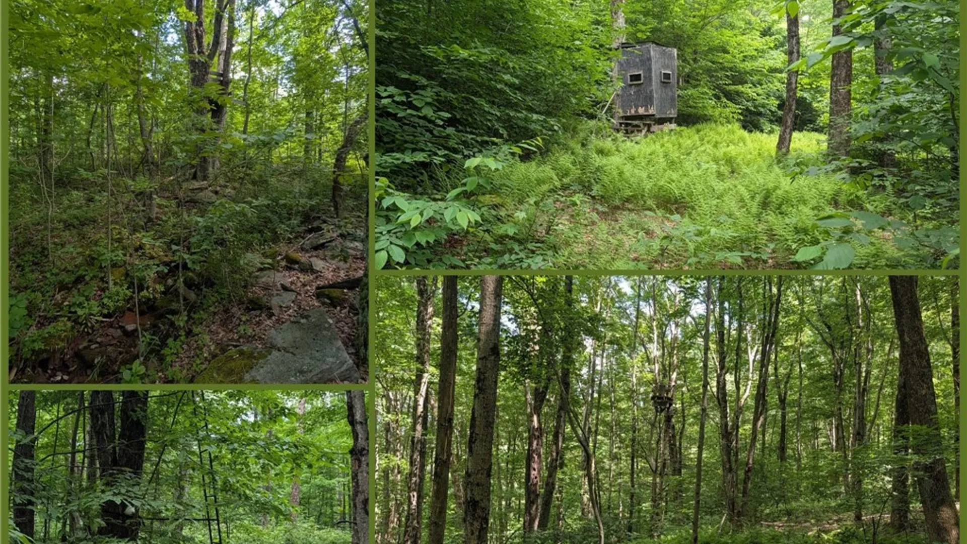 Property at 201 Sunrise Mountain Road, Kortright, NY 13739 44