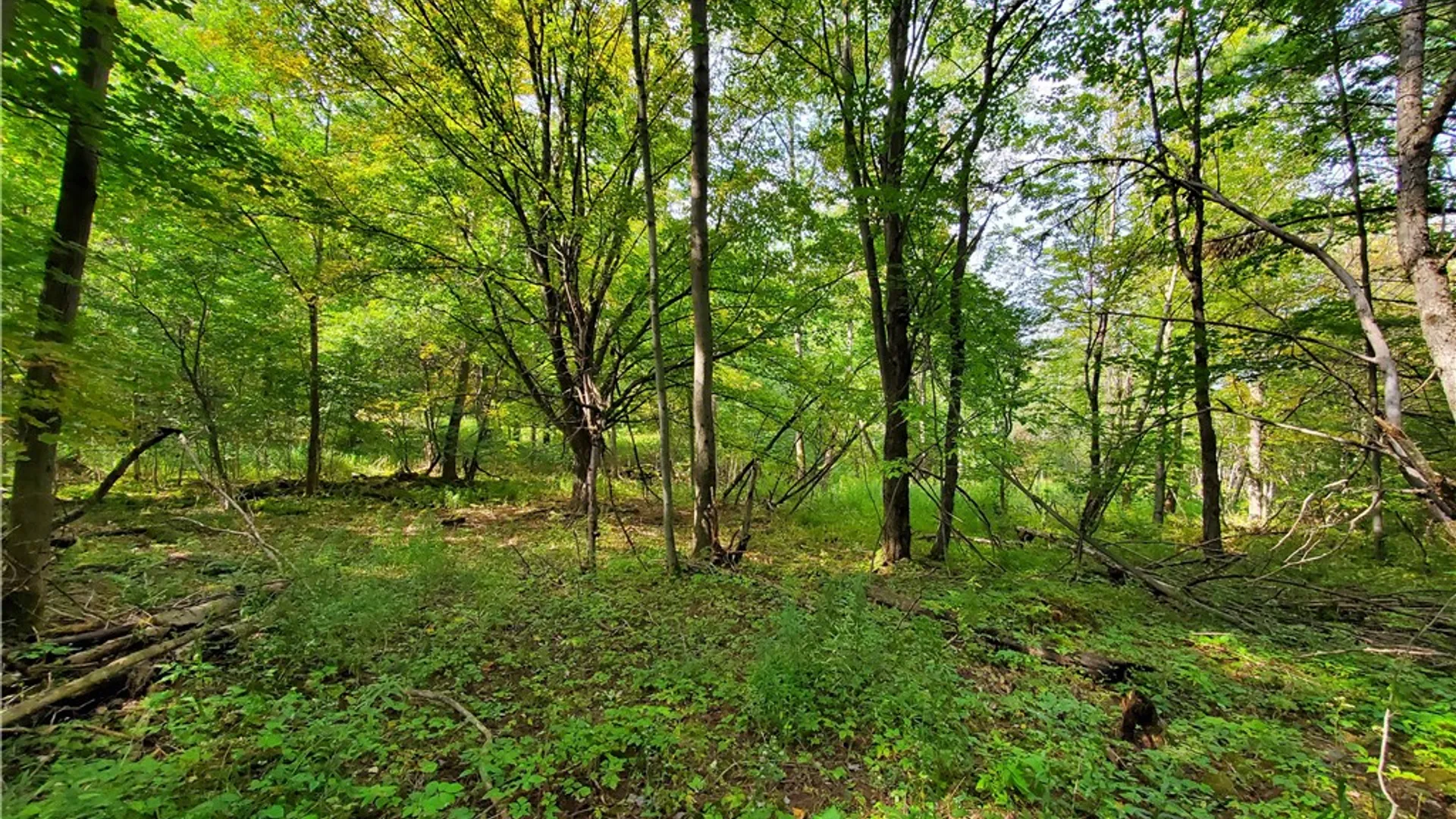 Property at 201 Sunrise Mountain Road, Kortright, NY 13739 45