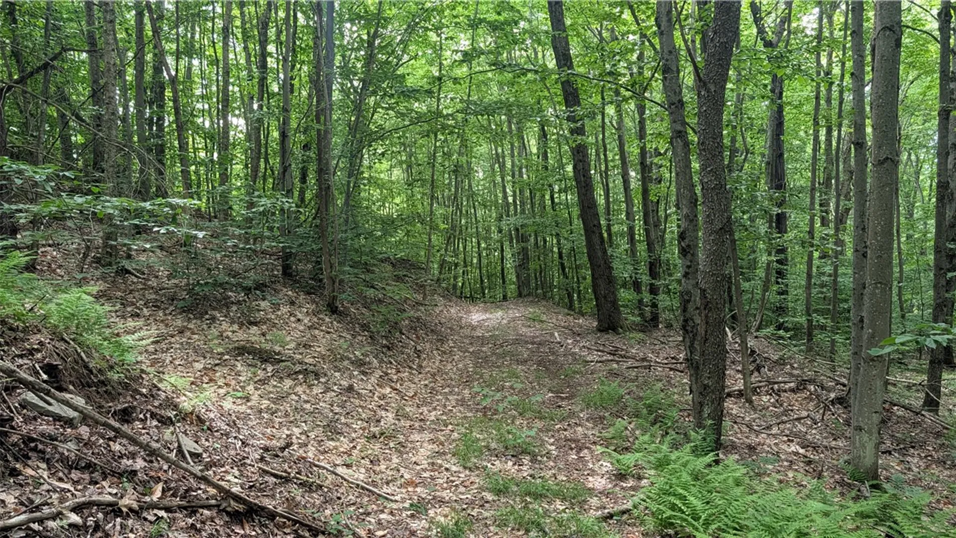 Property at 201 Sunrise Mountain Road, Kortright, NY 13739 47