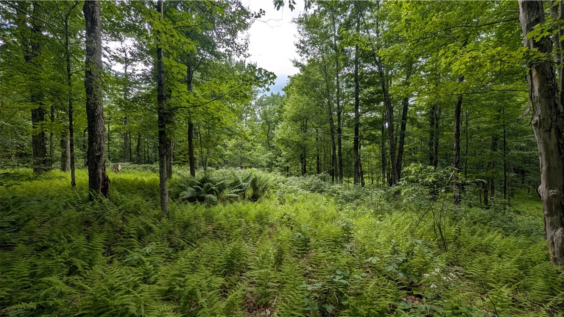 Property at 201 Sunrise Mountain Road, Kortright, NY 13739 48