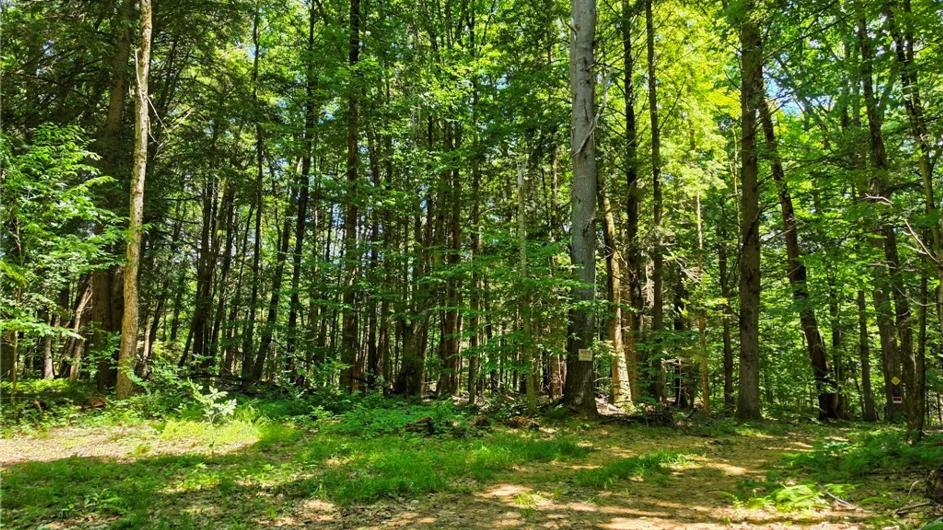 Property at Creekview-Off Drive, Vienna, NY 13308 13