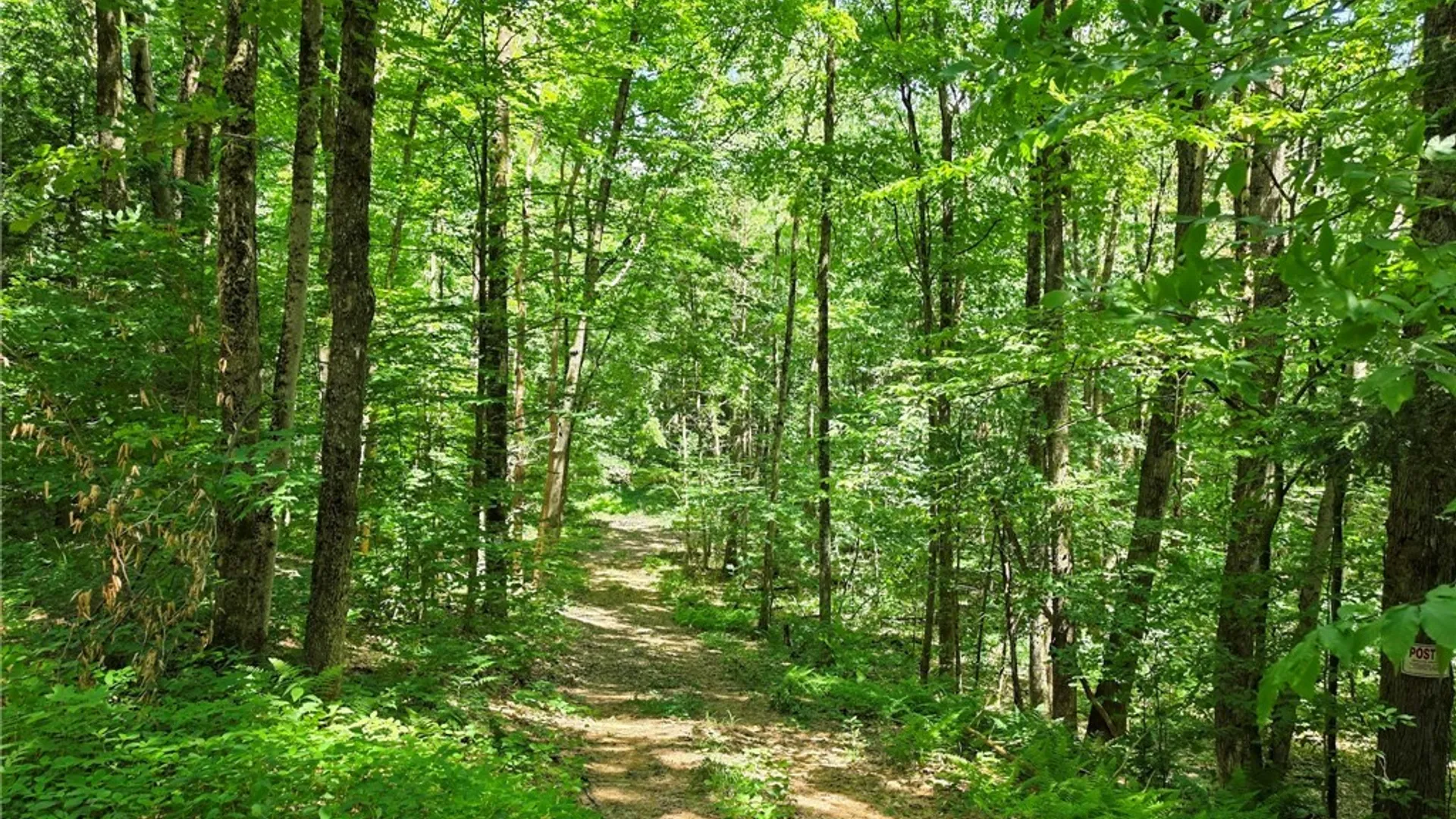 Property at Creekview-Off Drive, Vienna, NY 13308 5